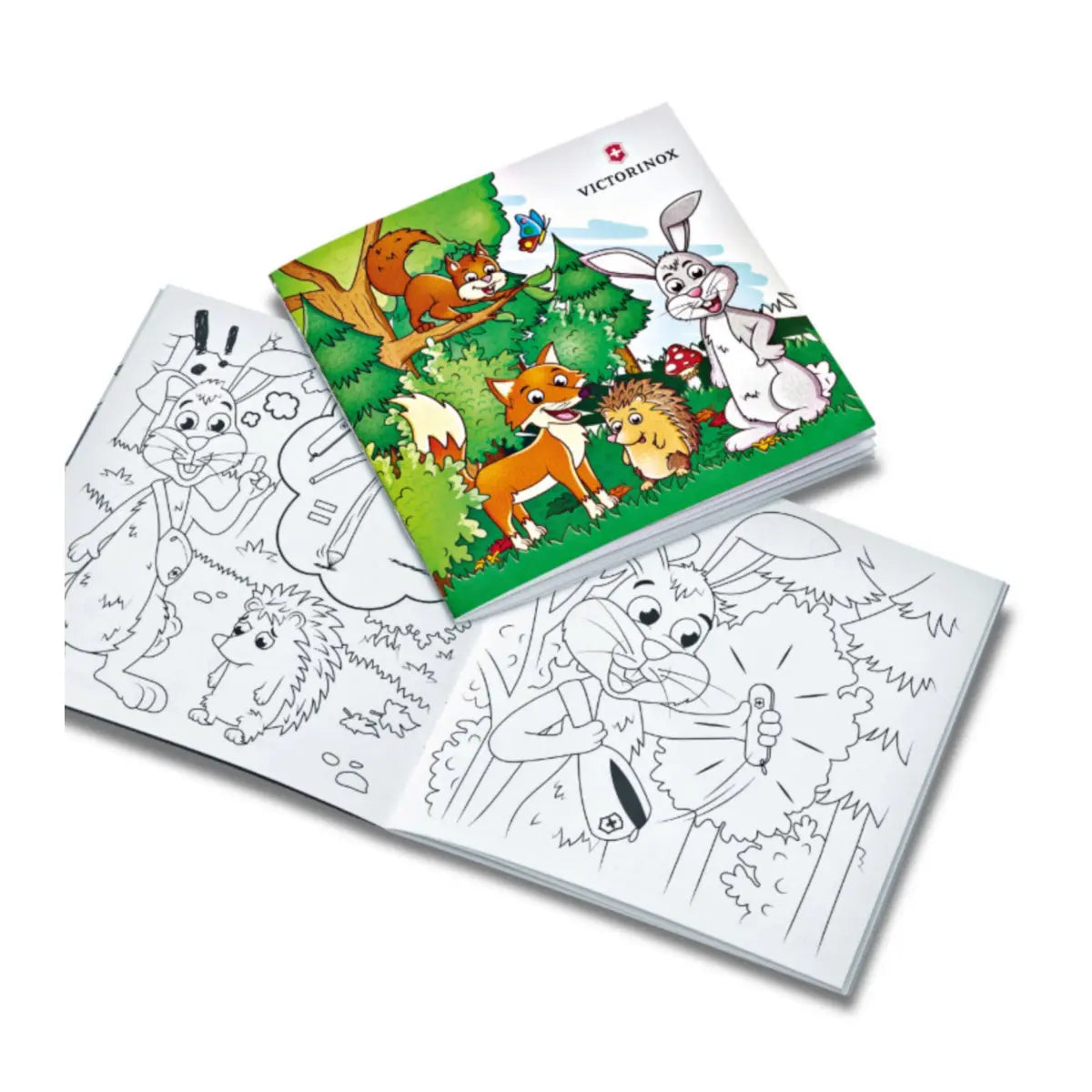 Set includes adventure-filled colouring book