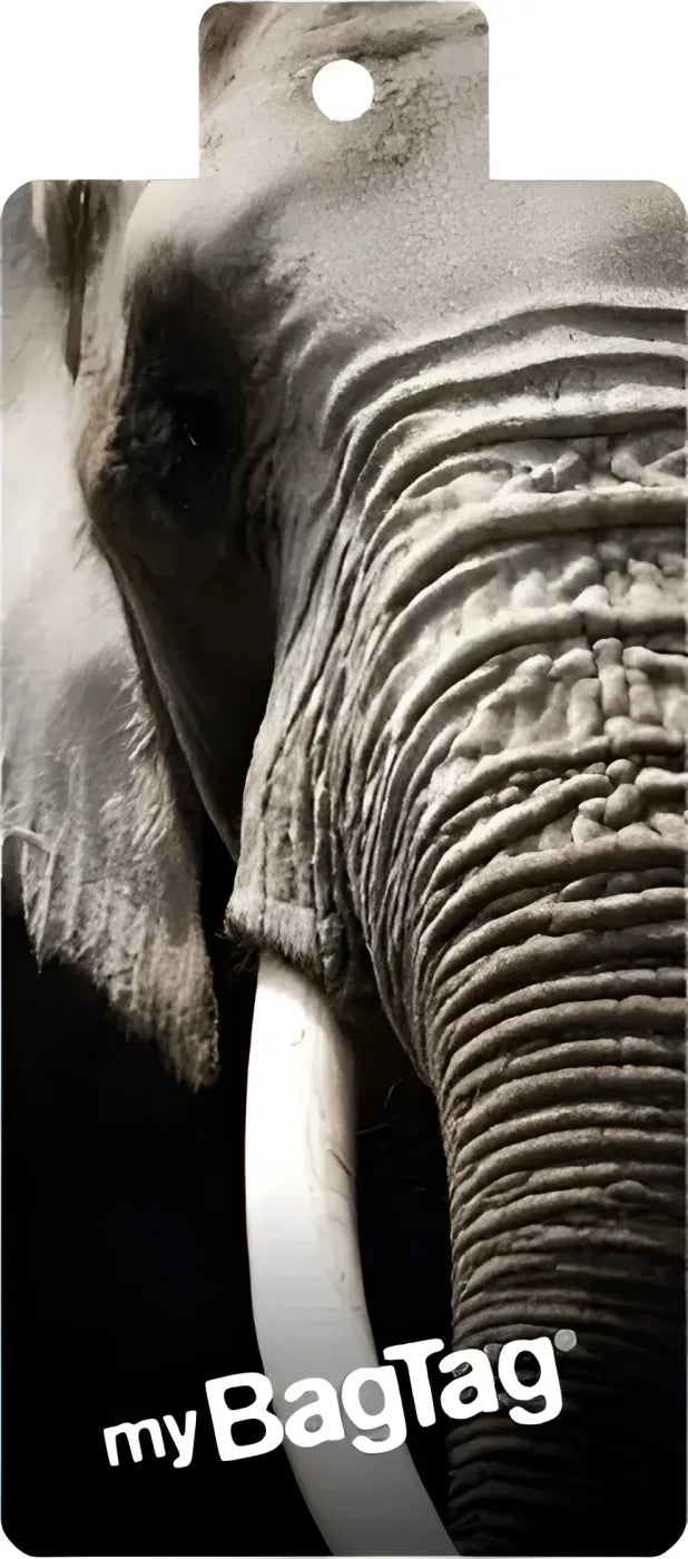 MyBagTag Luggage Tags : Elephant