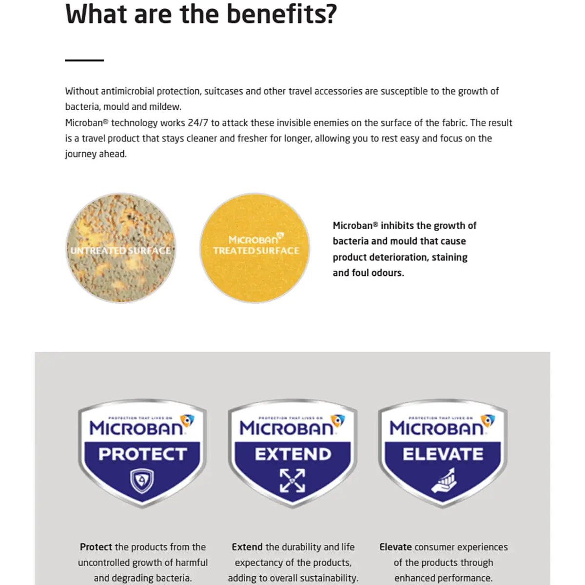 Samsonite Antimicrobial Zippered Mask Pouch - Black / Grey