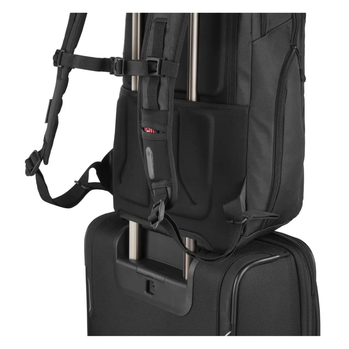 Luggage sleeve on back (Luggage sold separately)