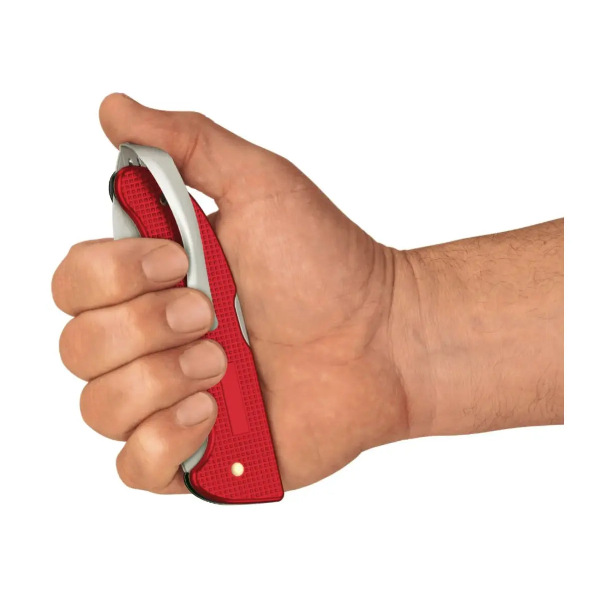 The perfect folding knife for everyday adventures