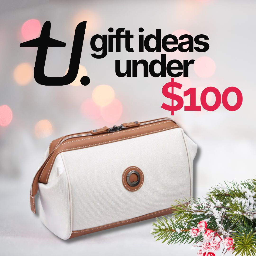 Christmas Gift Ideas Under $100