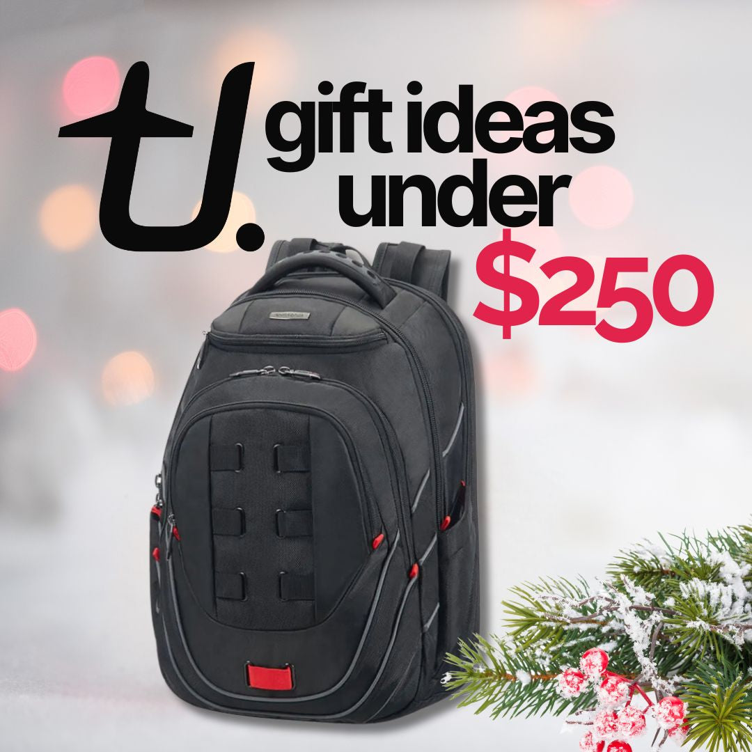Christmas Gifts Under $250 at Travel Universe