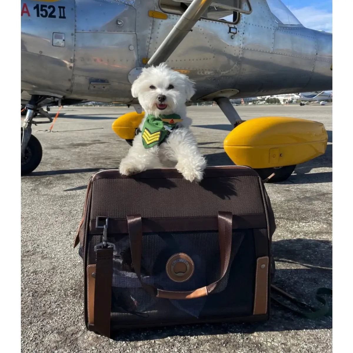 Delsey Pet Animal Carriers