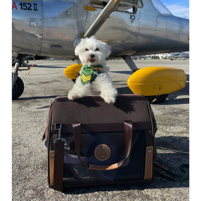 Delsey Pet Animal Carriers