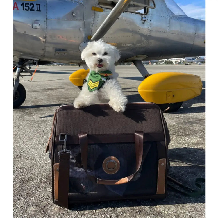 Delsey Pet Animal Carriers