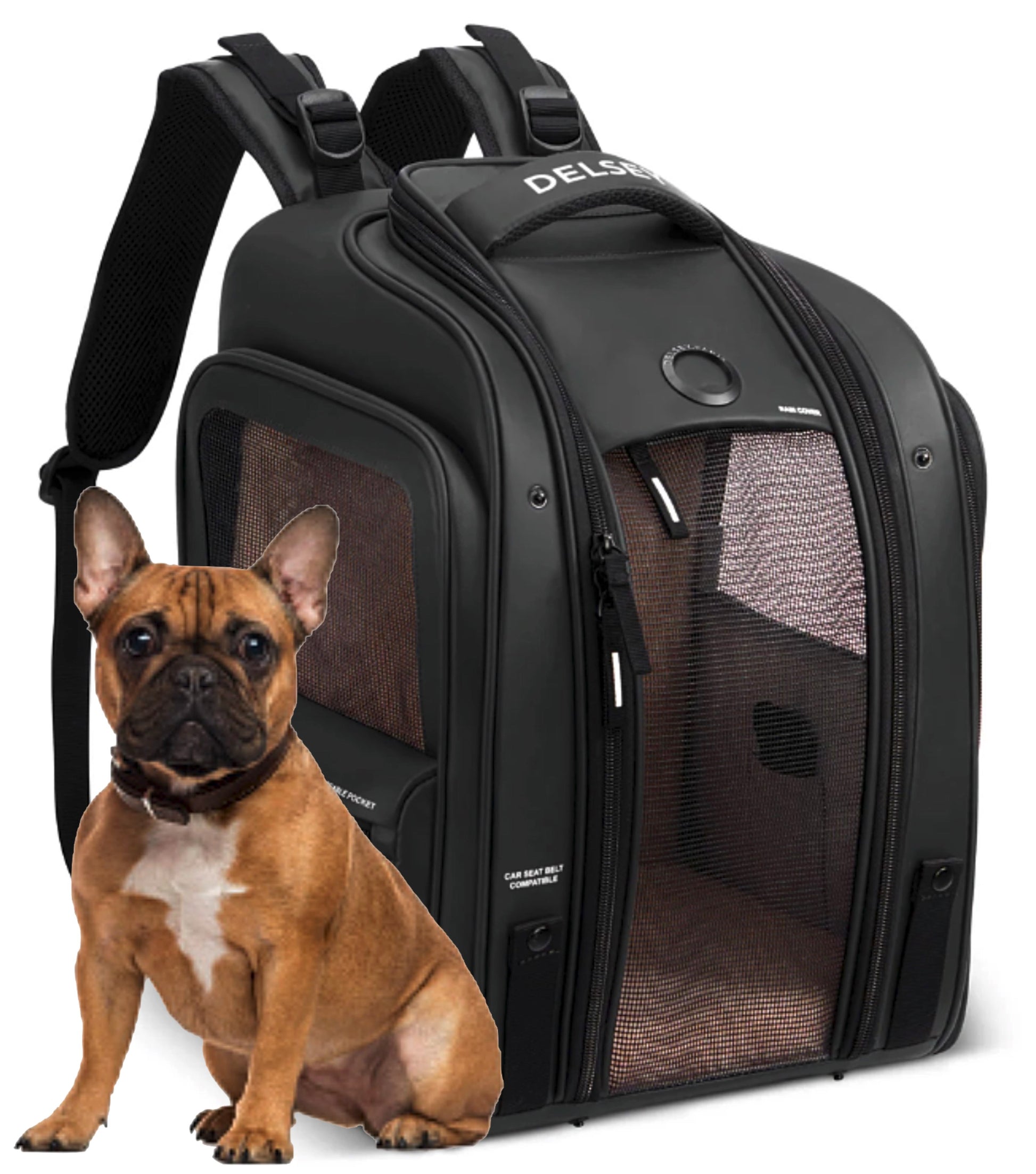 Delsey Raspail Pet Carrier Backpack - Black