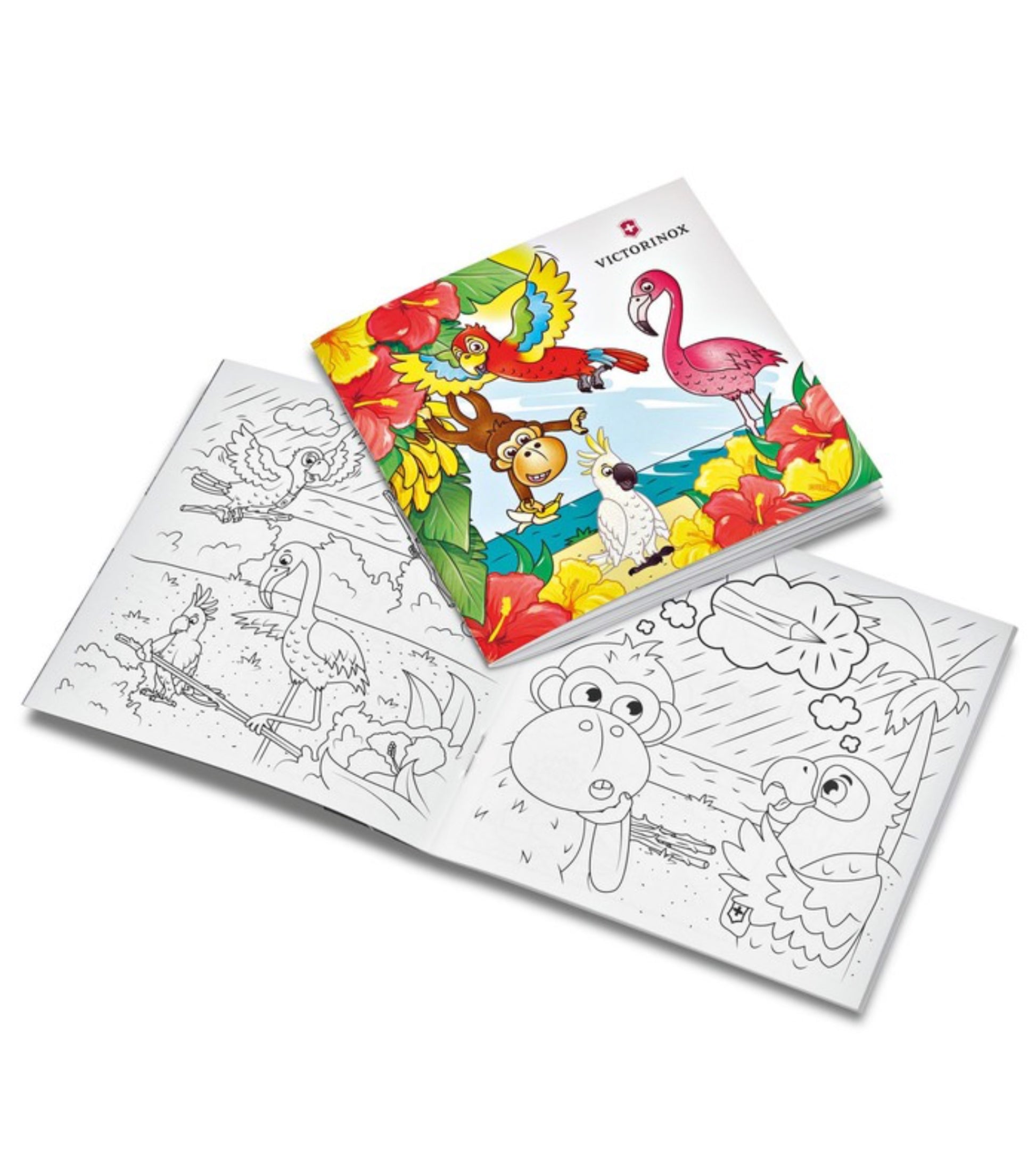 Set includes adventure-filled colouring book