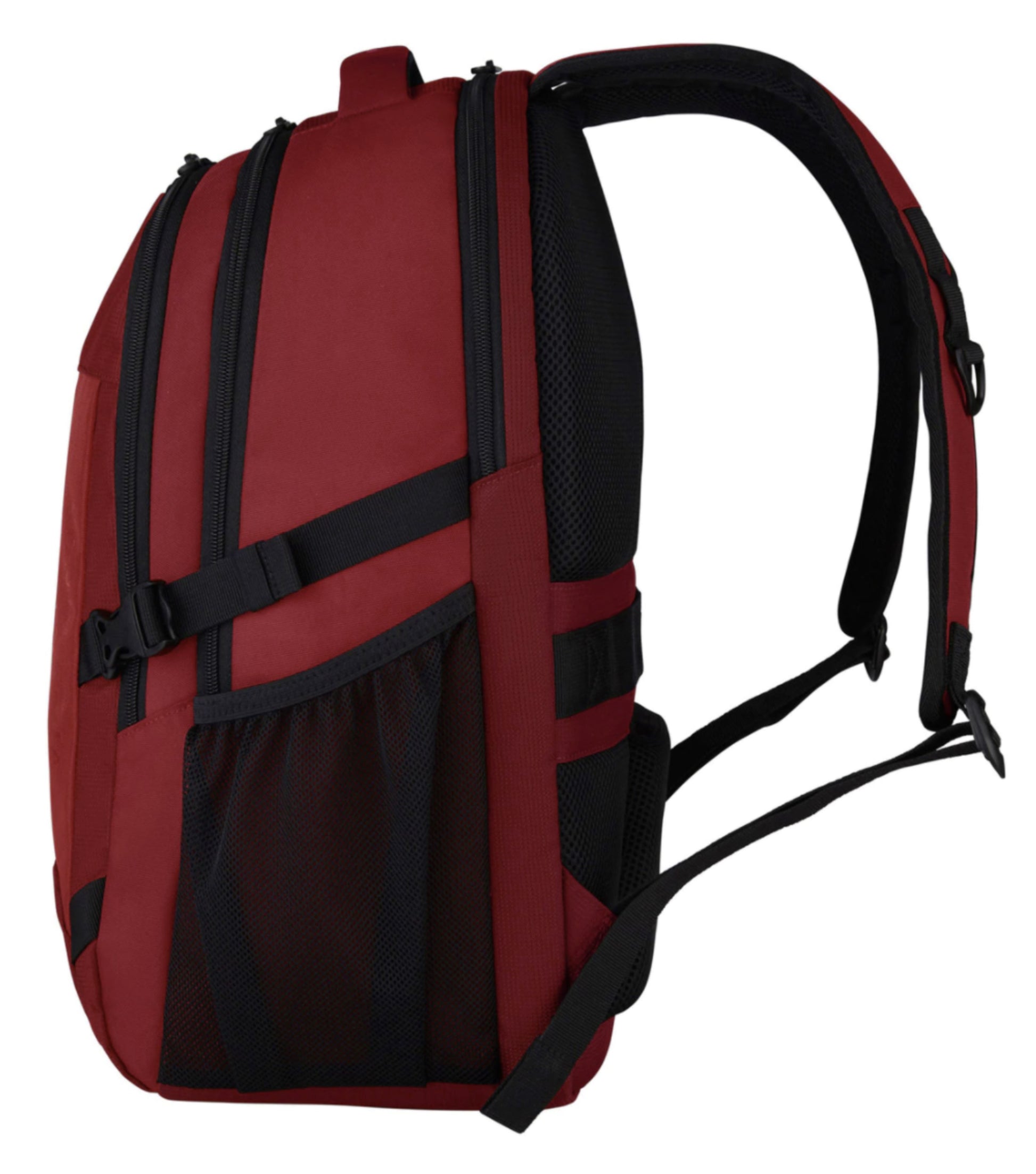 Padded, adjustable shoulder straps