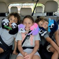 Which Cabeau Neck Pillow Should You Choose?: Evolution S3 X & Cool Compared