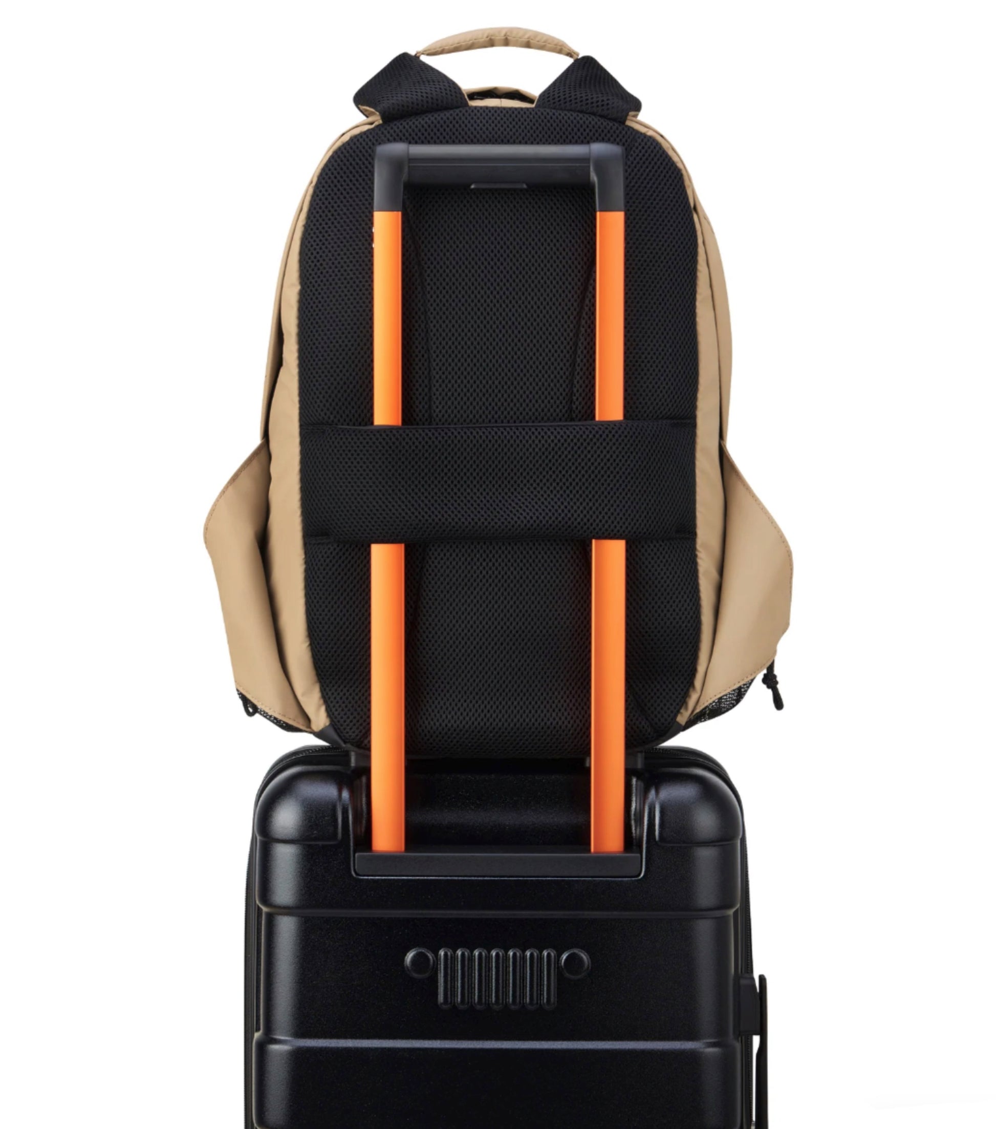 Padded Back Panel featuring a luggage band, ready to seamlessly slide over the trolley tubes of rolling luggage