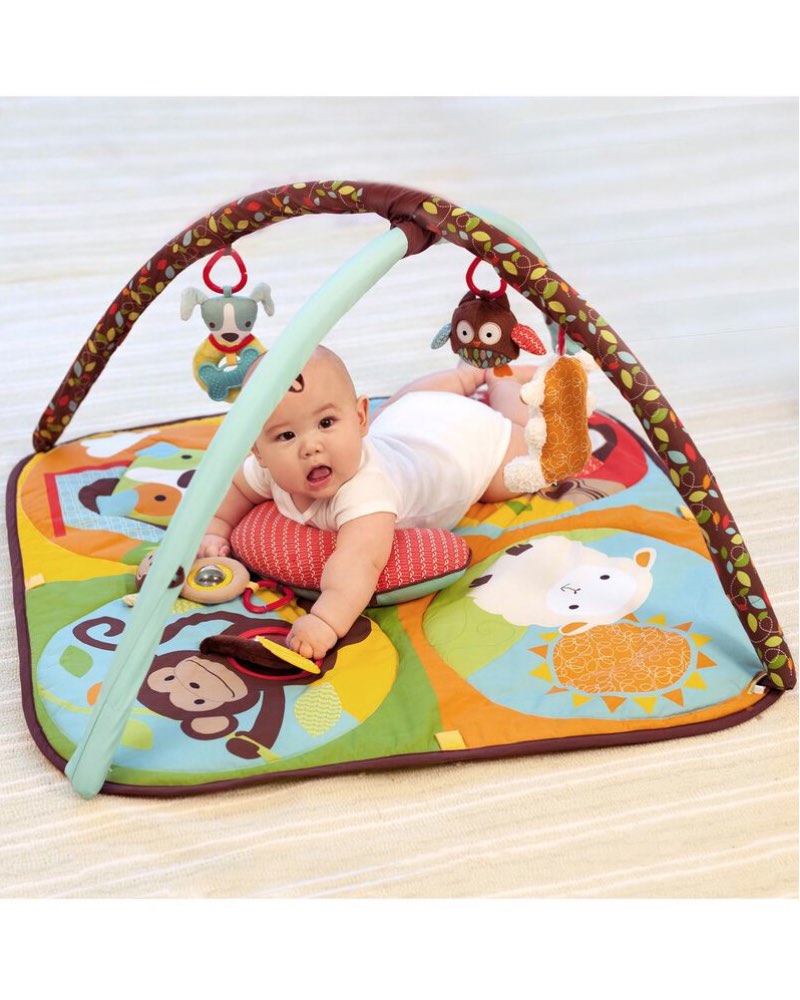 Skip Hop Hug & Hide Activity Gym - play mat