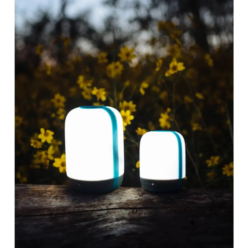 Available in 2 sizes