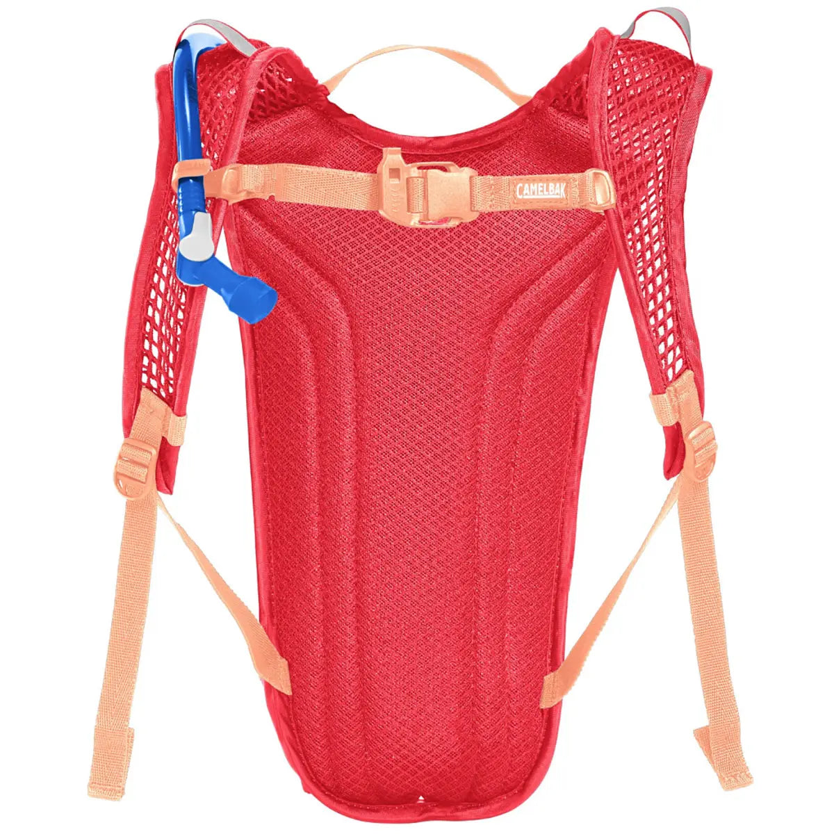 Camelbak Mini MULE 1.5L Kids Sports Hydration Pack - Pink / Flowers