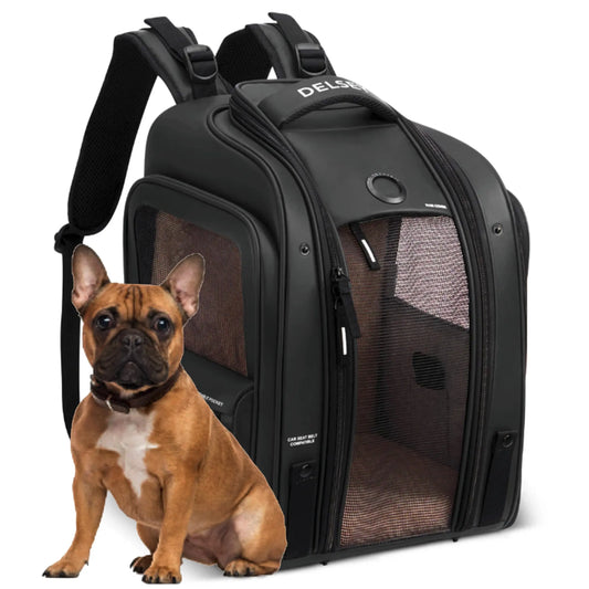 Delsey Raspail Pet Carrier Backpack - Black