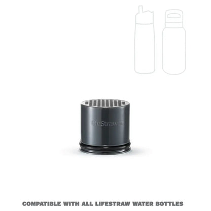 LifeStraw Go 2.0 Replacement Universal Activated Carbon Filter - 2 Pack