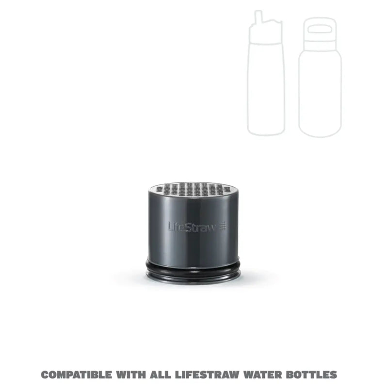 LifeStraw Go 2.0 Replacement Universal Activated Carbon Filter - 2 Pack