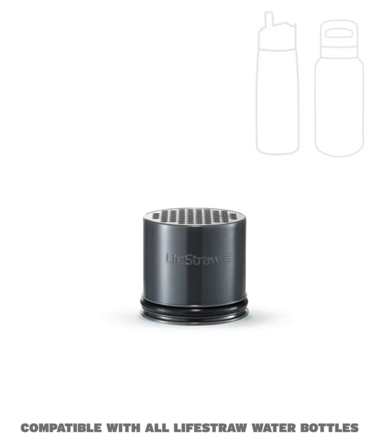 LifeStraw Go 2.0 Replacement Universal Activated Carbon Filter - 2 Pack
