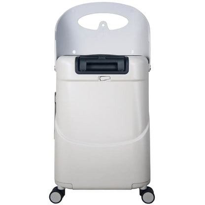 Bag hook on seat back