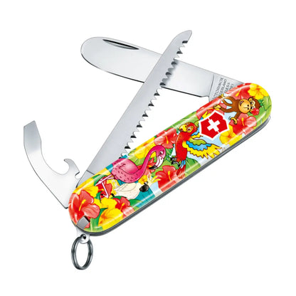 First-use children's pocket knife with rounded tip
