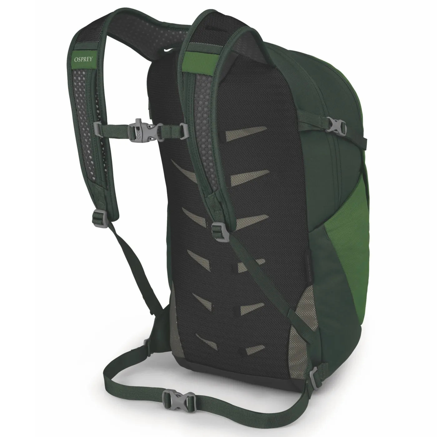 Osprey Daylite Plus 20L Backpack - Green Belt / Green Canopy