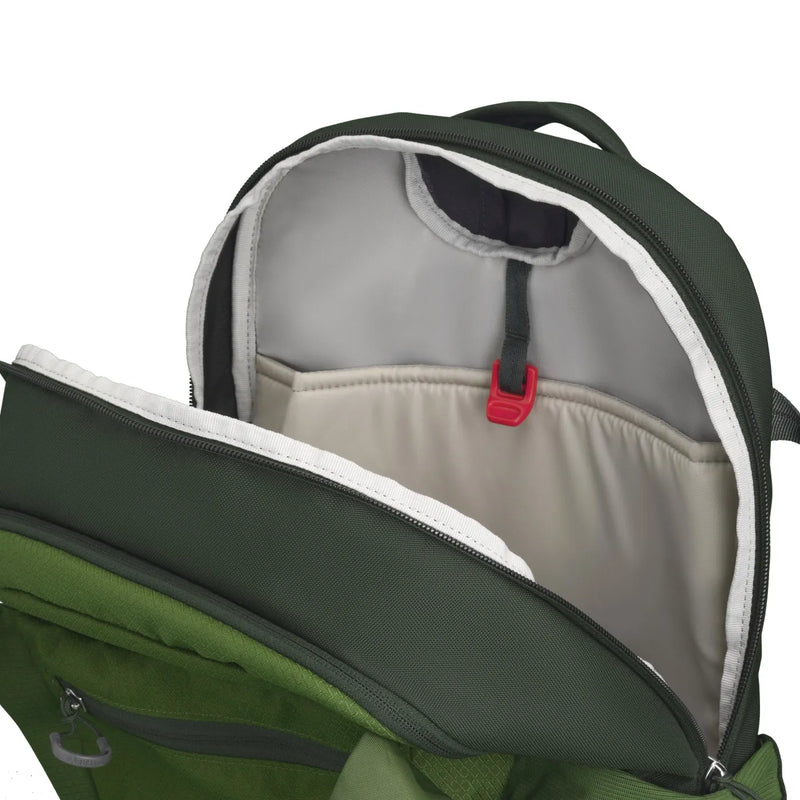 Osprey Daylite Plus 20L Backpack - Green Belt / Green Canopy