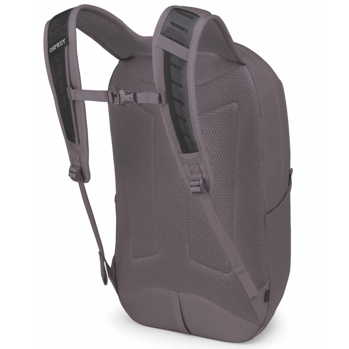 Backside of gray osprey farview 55l women’s travel pack with mesh back panel and padded straps in graphite purple