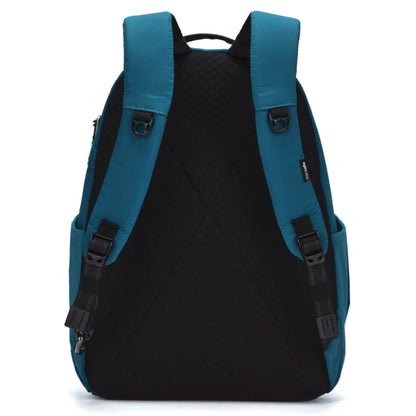 Padded shoulder straps and padded back panel