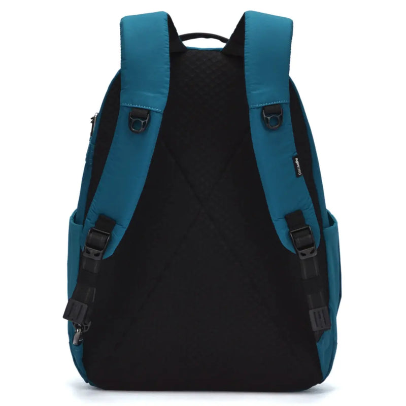 Padded shoulder straps and padded back panel