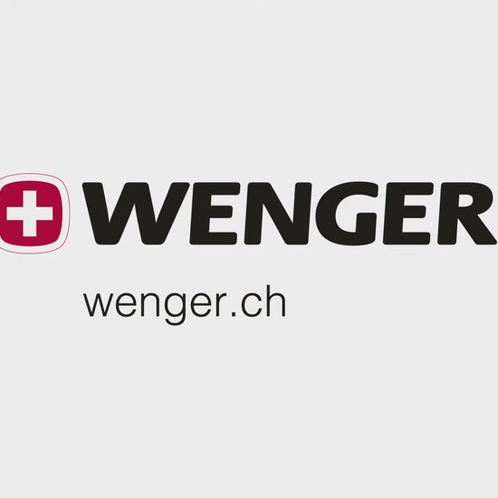 Wenger Pegasus Hardside Carry-On Luggage