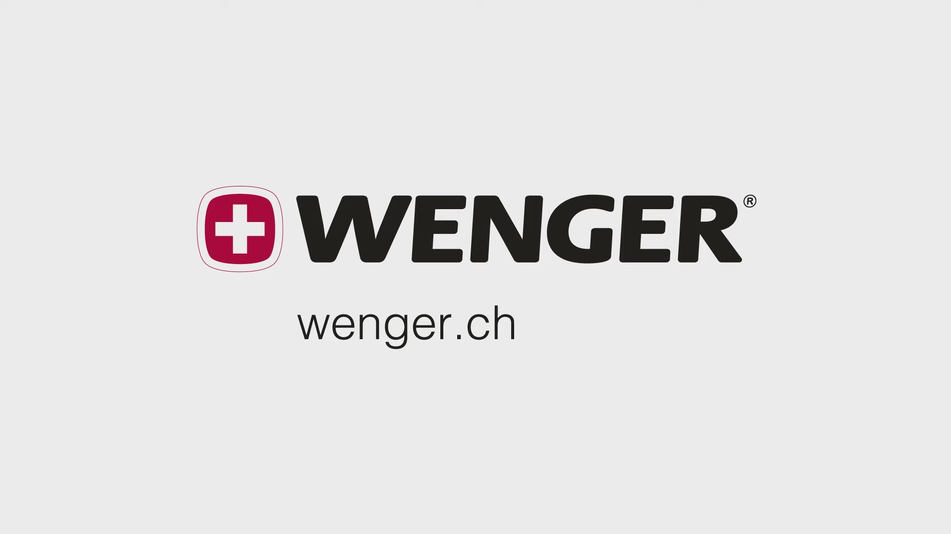 Wenger Pegasus Hardside Carry-On Luggage