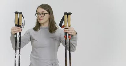 Black Diamond Pursuit FLZ Trekking Poles - Black / Octane