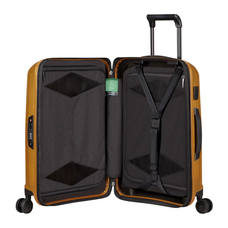 Compression straps and zippered dividers