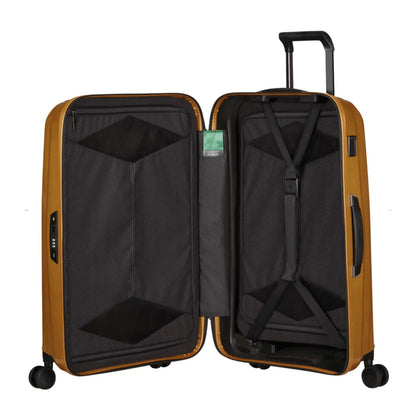 Compression straps and zippered dividers