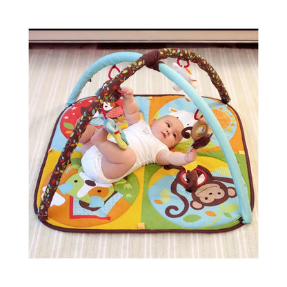Skip Hop Hug & Hide Activity Gym - play mat