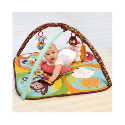 Skip Hop Hug & Hide Activity Gym - play mat