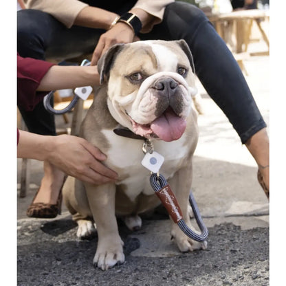 With its 122m range, the Tile Pro Single Bluetooth Tracker can be easily detected over spacious areas