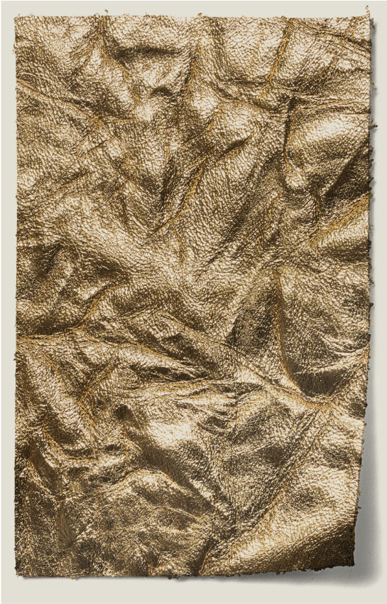Crunch Leather swatch