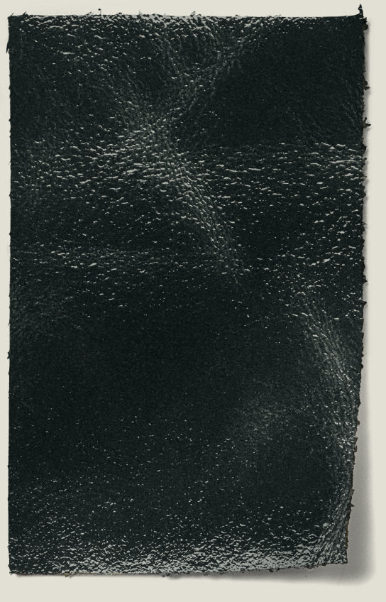Naplak Leather swatch