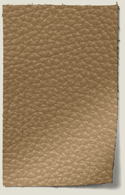 Pebble leather swatch