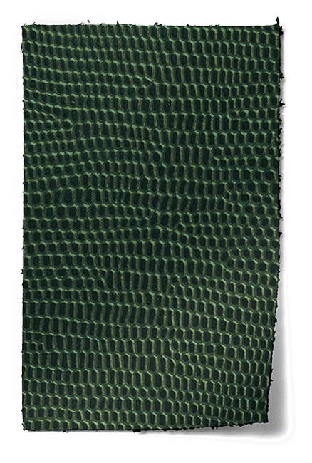 Rango Leather swatch