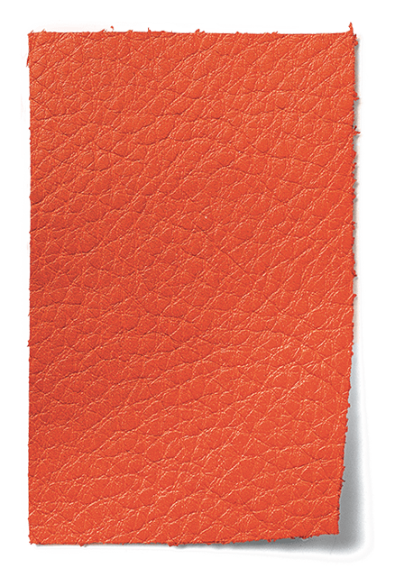 Vegetable Tanned Leather swatch