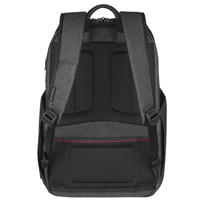 Padded, adjustable shoulder straps