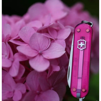 Victorinox Classic SD Translucent Swiss Army Knife - Cupcake Dream