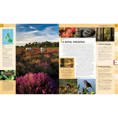 Where to go Wild in Britain