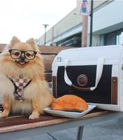 This pet carrier makes traveling with your furry friend easy and comfortable