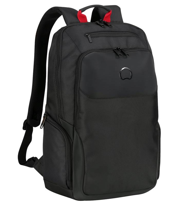 Delsey Parvis Plus 2 Compartment 17.3" Laptop Backpack - Black